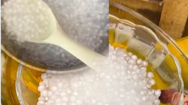 Glass bowl filled with mango sago 